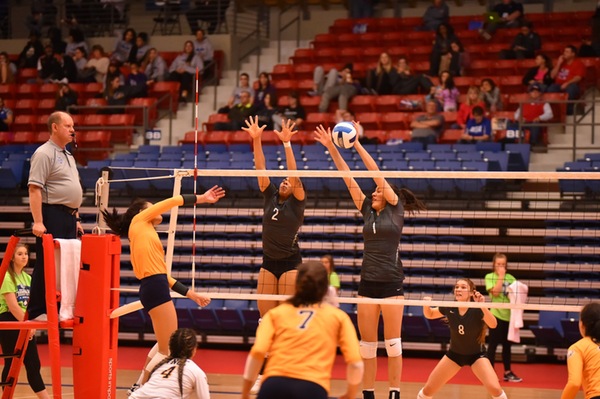 2018 VOLLEYBALL OPEN TRYOUT ANNOUNCED